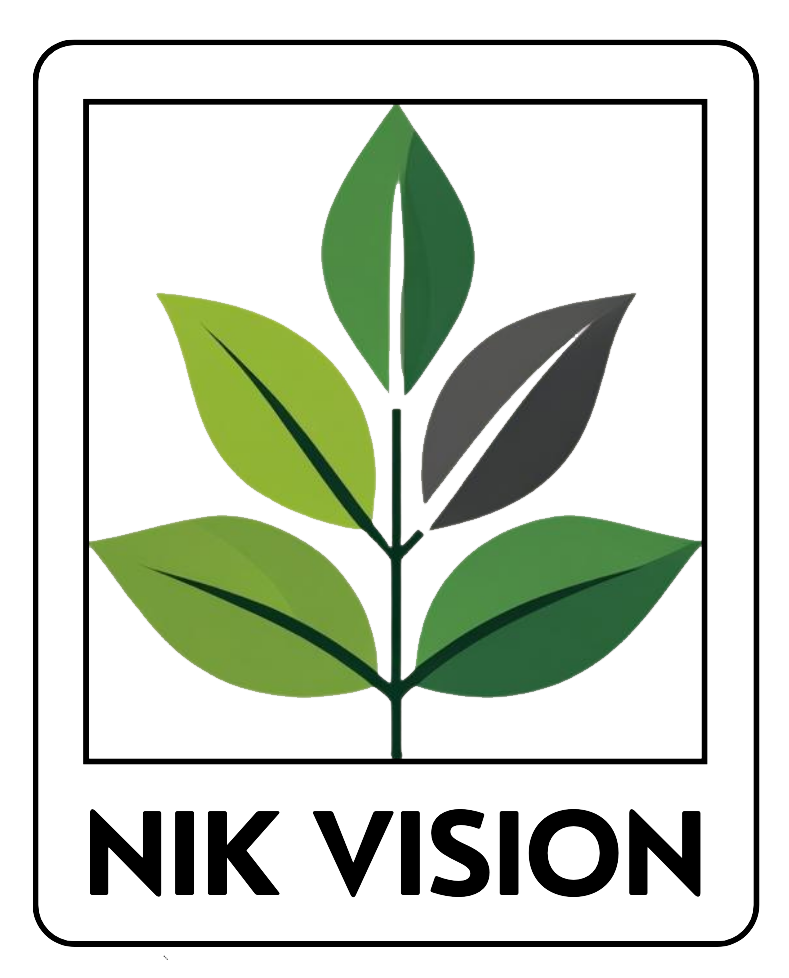 NIK VISION
